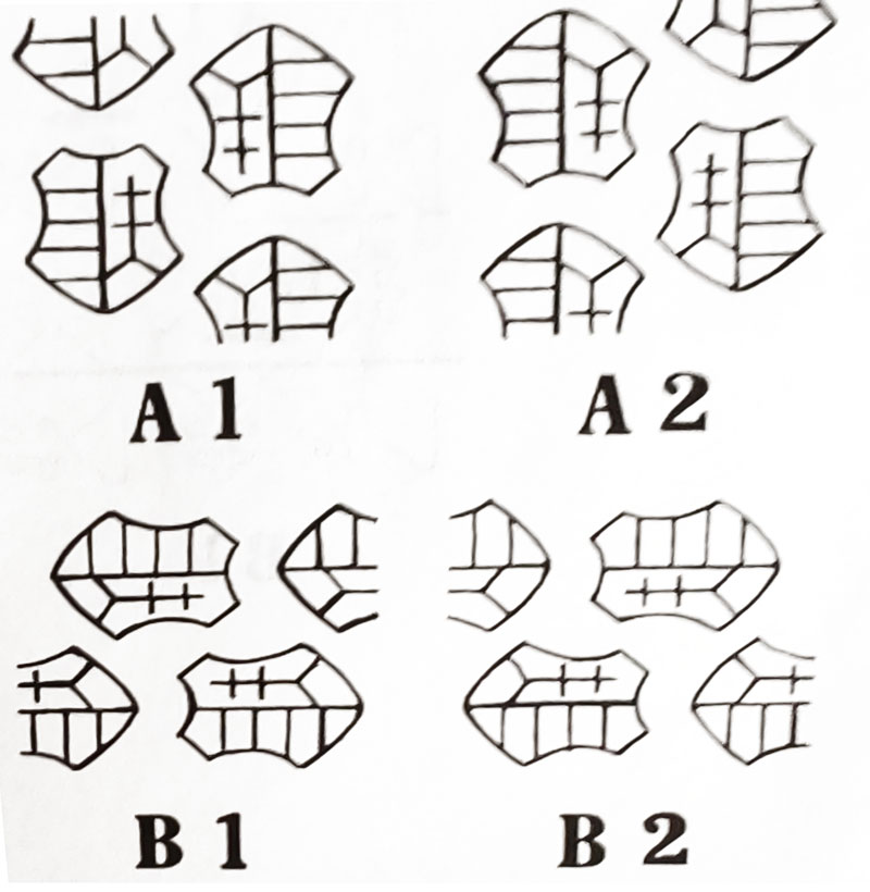 11 vizjel allas
