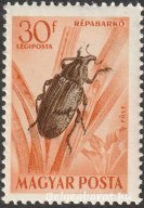 1954. Rovarok