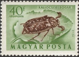1954. Rovarok