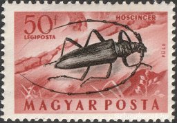 1954. Rovarok