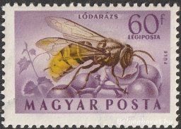 1954. Rovarok