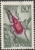 1954. Rovarok
