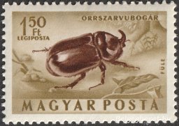 1954. Rovarok