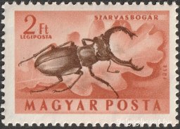 1954. Rovarok