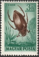 1954. Rovarok