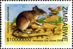 2008. Zimbabwe