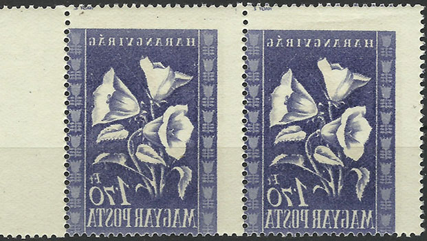 Színátnyomatok