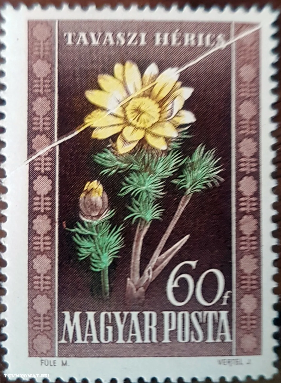 1950 Flowers – opened paper fold