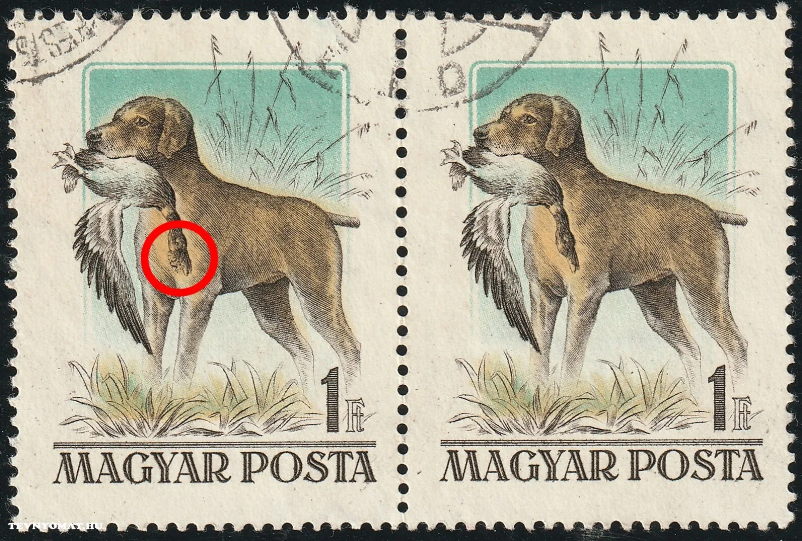 Tarajos réce lemezhiba, 1956. Magyarországi kutyafajták 1 Ft, 2. ívhely